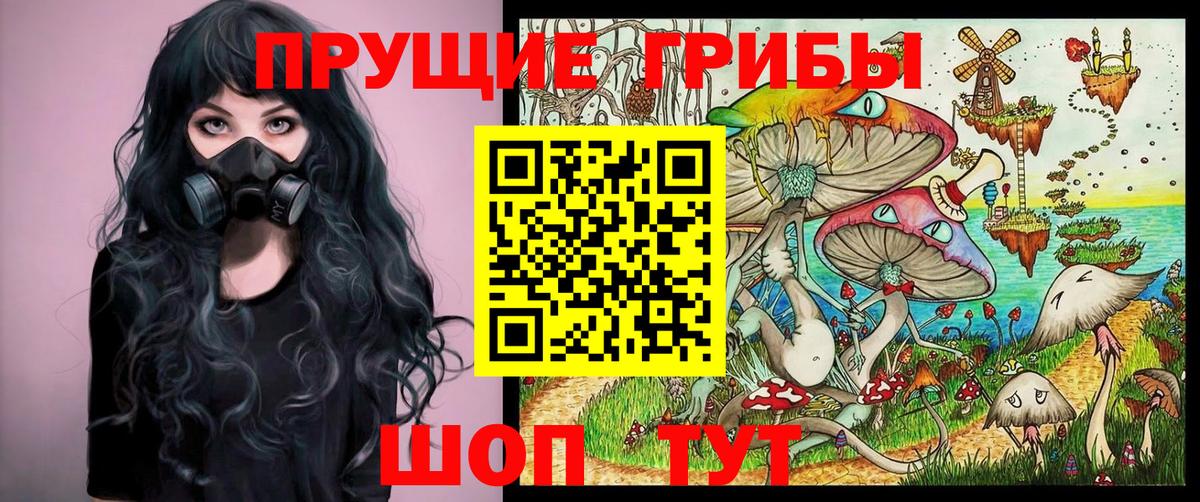 Алейск  Галлюциногенные грибы ЛСД  Псилоцибиновые грибы Psilocybe  Вход с VPN 