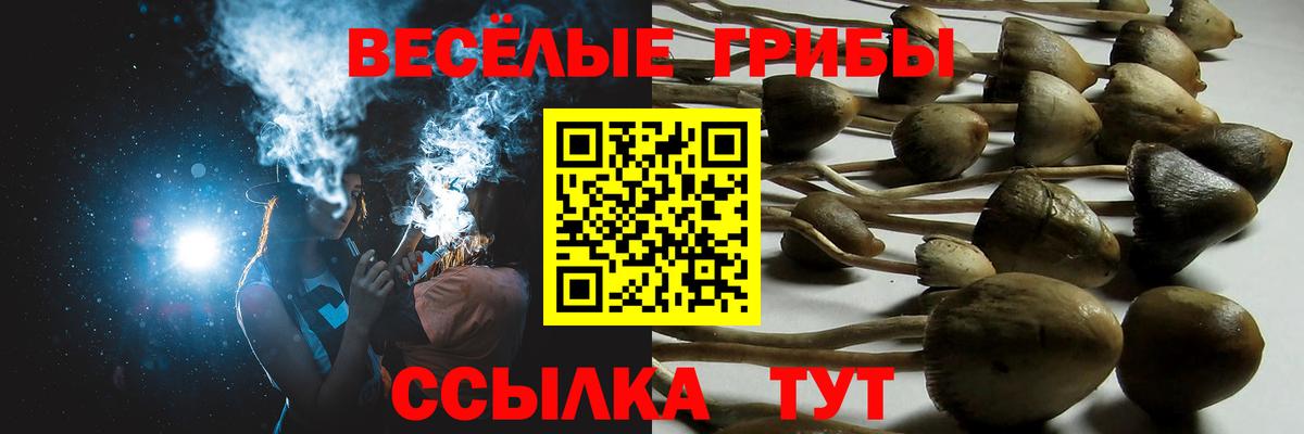 Псилоцибиновые грибы мухоморы Алейск